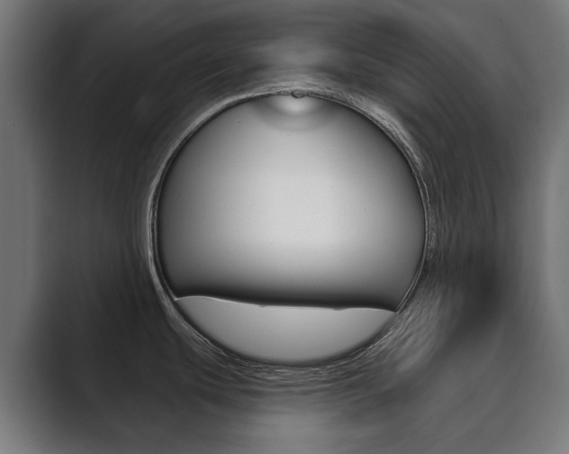 X0000089901439200706281127
