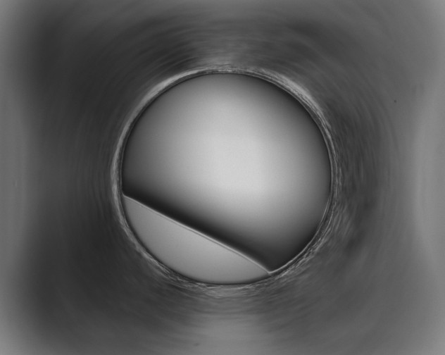 X0000089901440200706281127