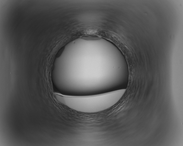 X0000089901441200706281126