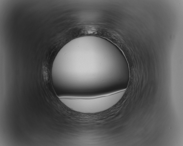 X0000089901442200706281126