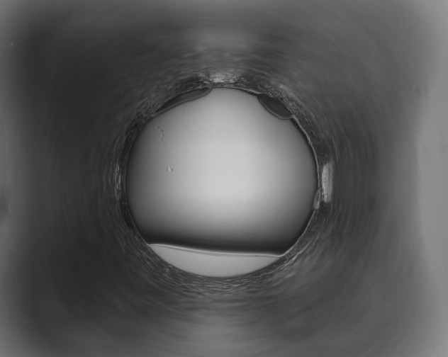 X0000089901443200706281126