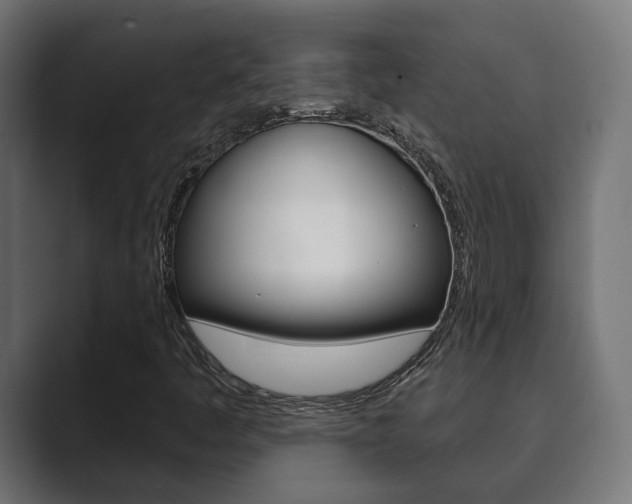 X0000089901445200706281126
