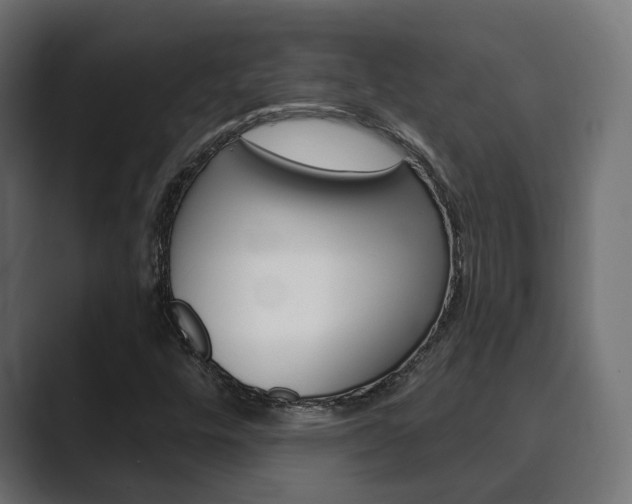 X0000089901448200706281126