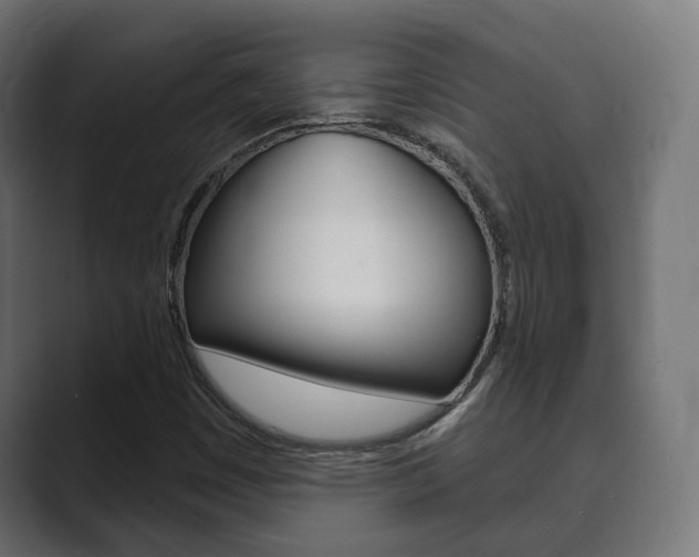 X0000089901449200706281126