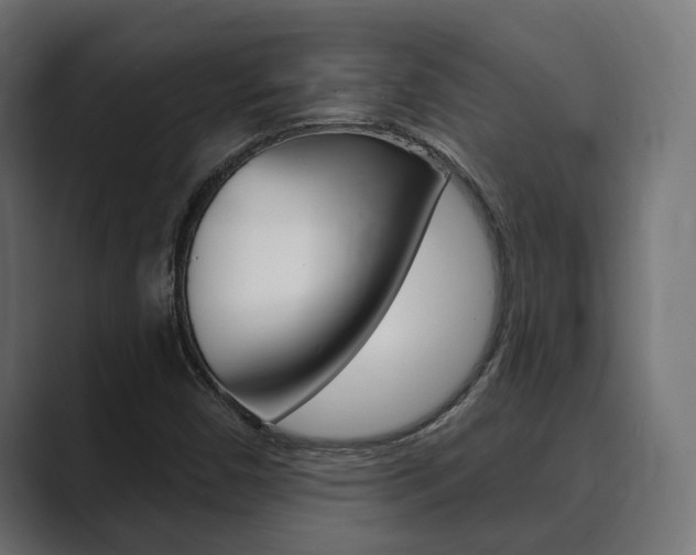 X0000089901450200706281126