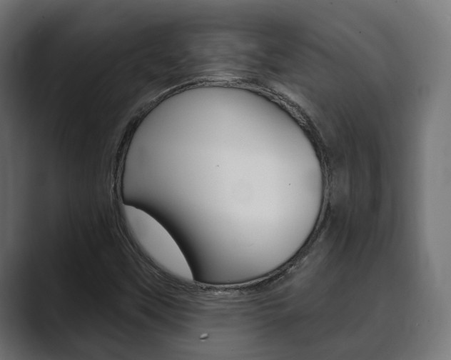X0000089901451200706281126
