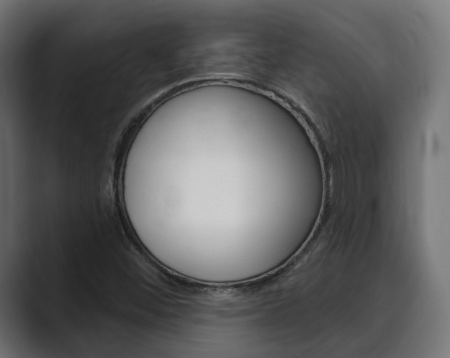 X0000089901452200706281126