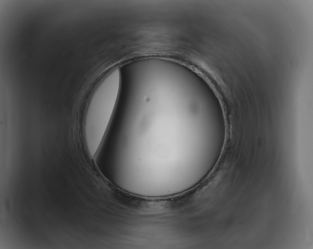 X0000089901453200706281126