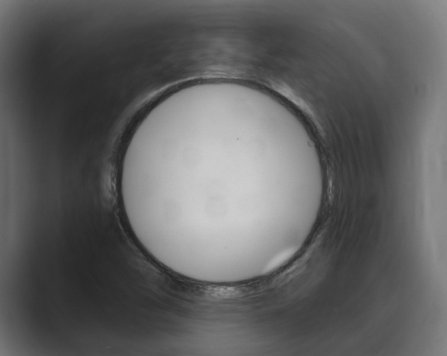 X0000089901454200706281126