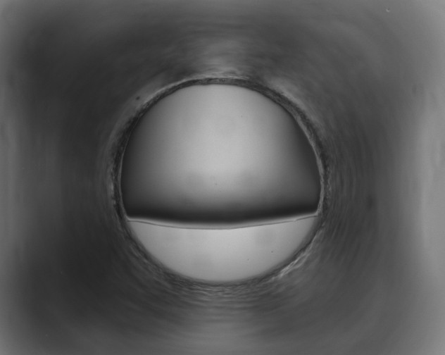X0000089901455200706281126