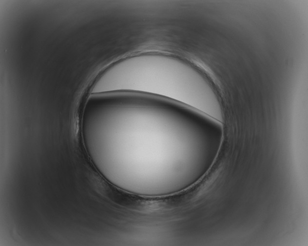 X0000089901461200706281126