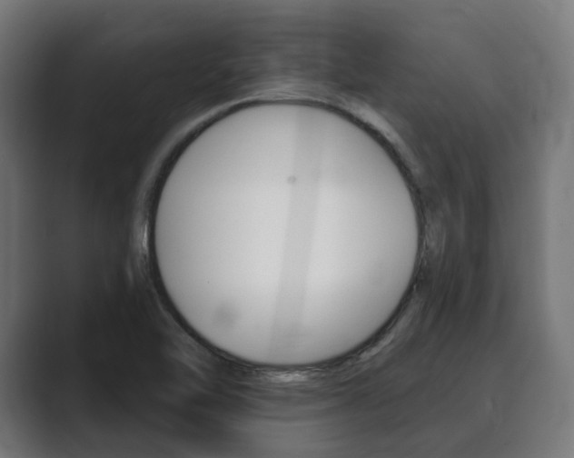 X0000089901462200706281126