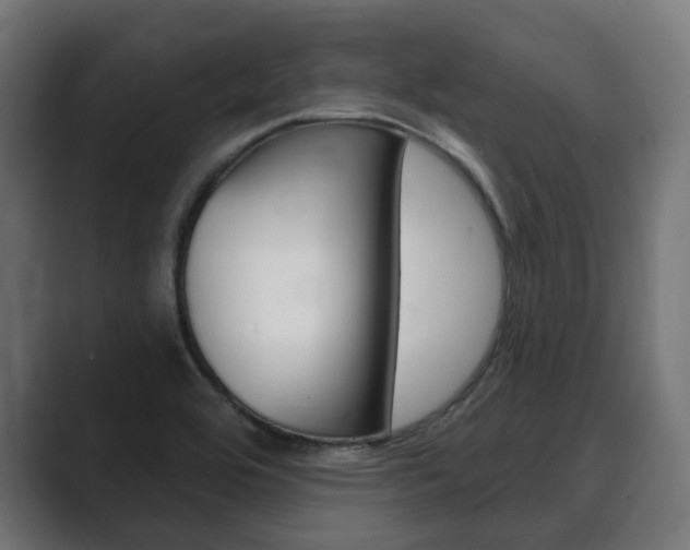 X0000089901464200706281126