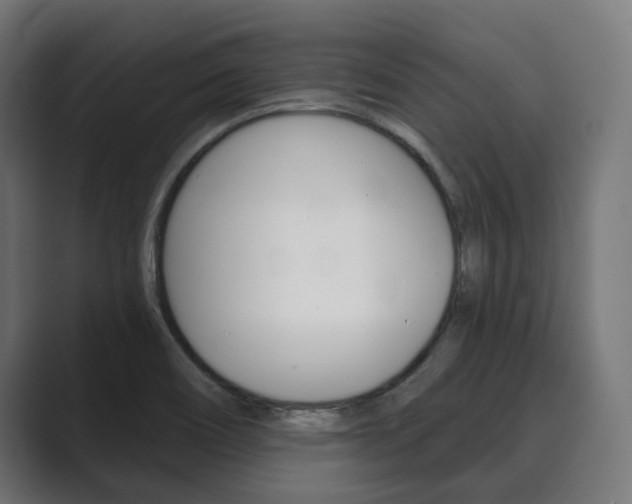 X0000089901466200706281126