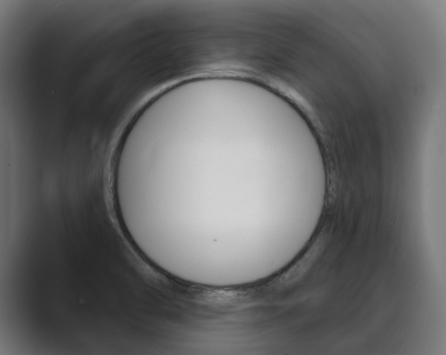 X0000089901470200706281126