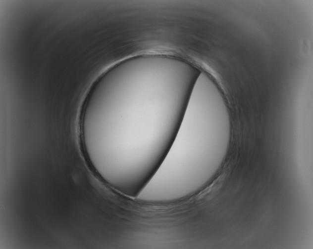 X0000089901471200706281126