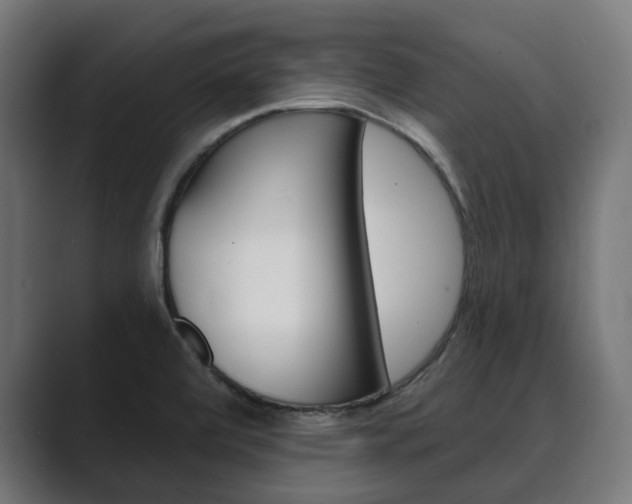 X0000089901472200706281126