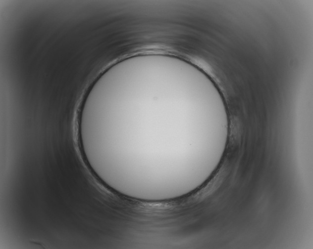X0000089901474200706281126