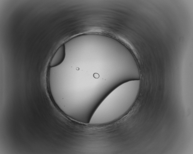 X0000089901475200706281126