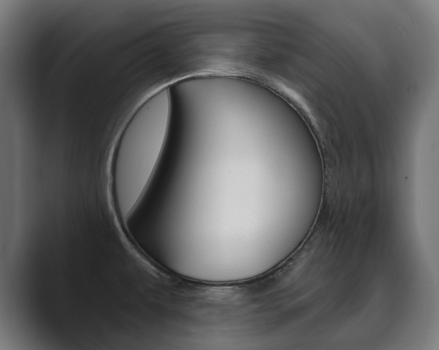 X0000089901479200706281126