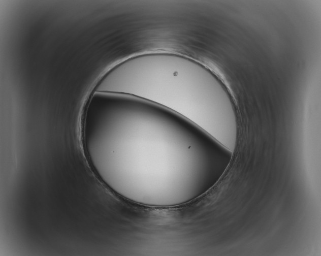 X0000089901480200706281126