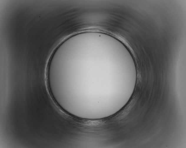 X0000089901482200706281126