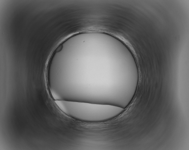 X0000089901486200706281126