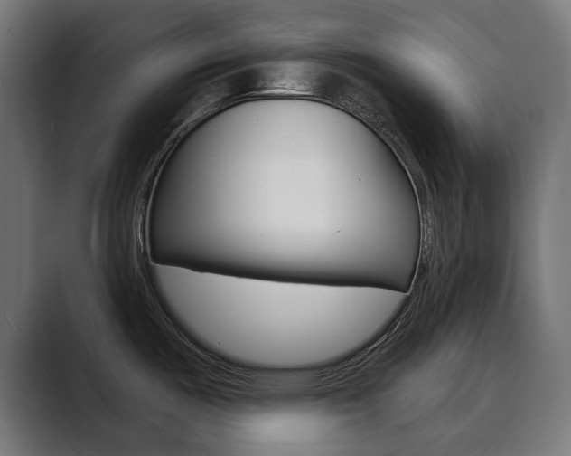 X0000089901487200706281126