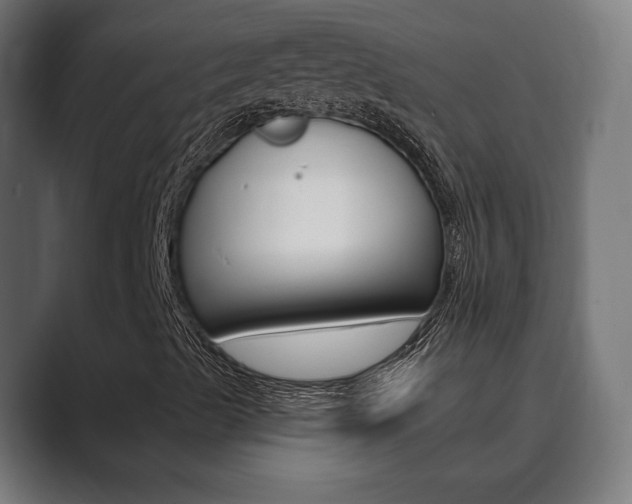 X0000089901489200706281125