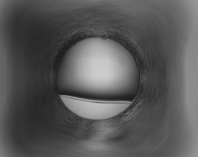 X0000089901490200706281125