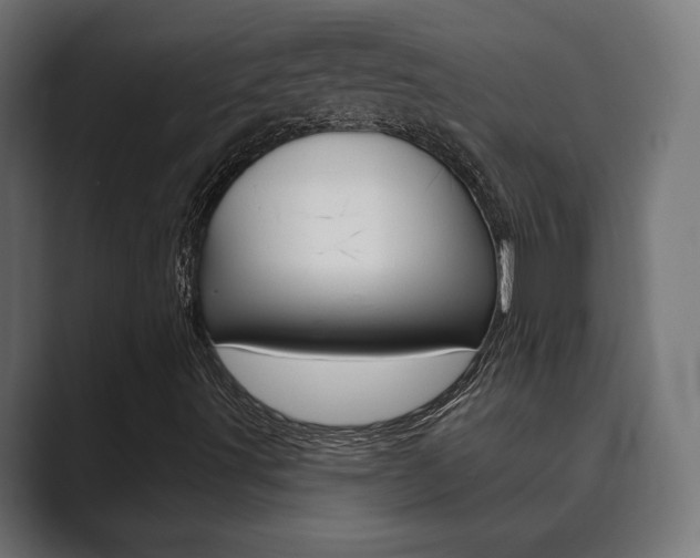 X0000089901491200706281125