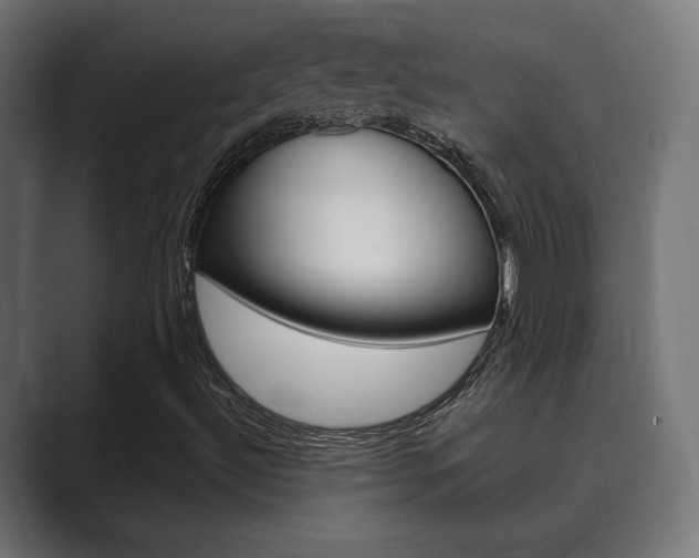 X0000089901492200706281125