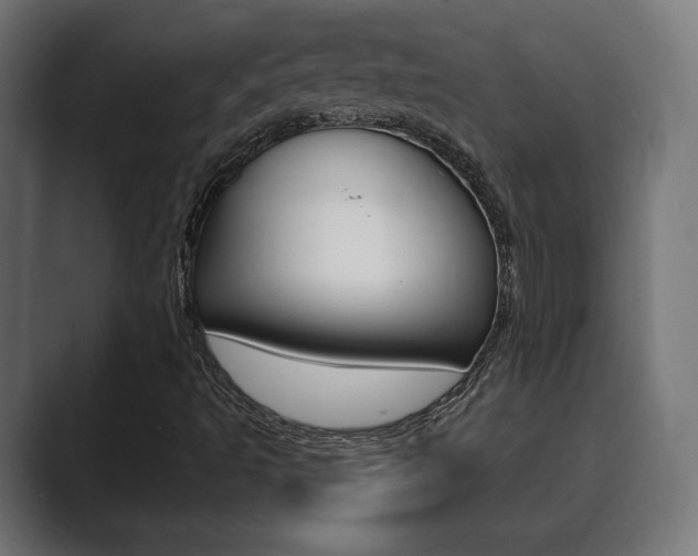 X0000089901493200706281125