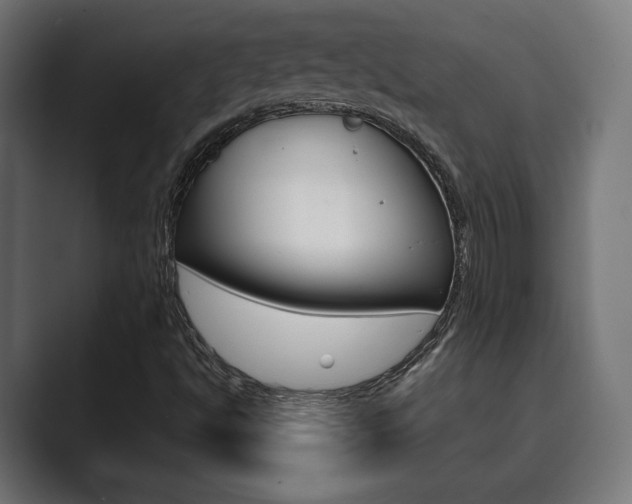 X0000089901494200706281125