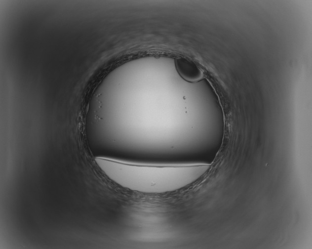 X0000089901495200706281125