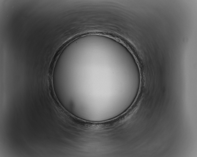 X0000089901497200706281125