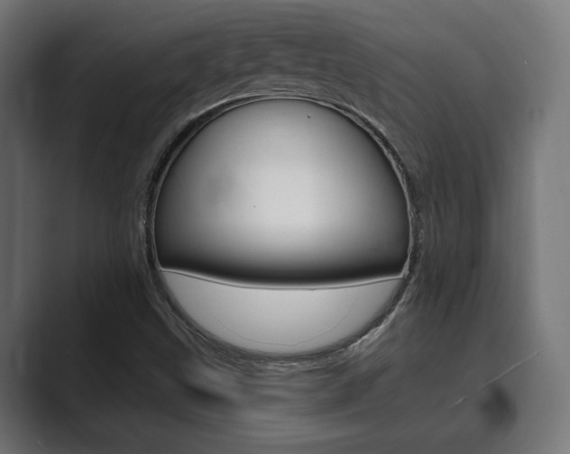 X0000089901499200706281125