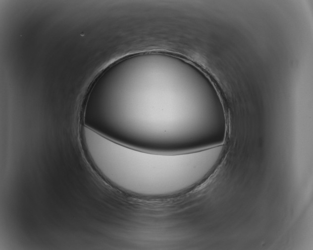 X0000089901500200706281125