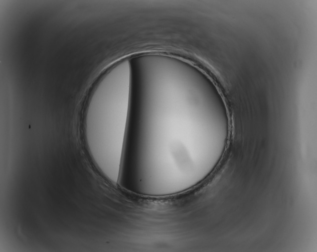 X0000089901501200706281125