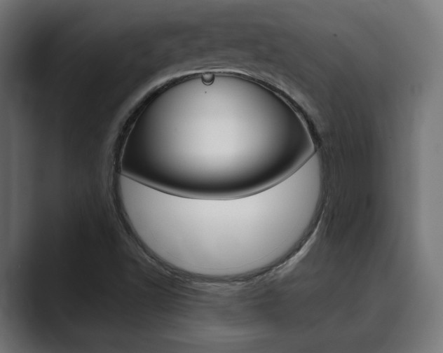 X0000089901502200706281125