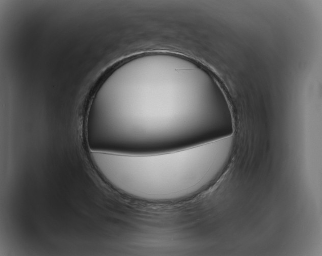 X0000089901503200706281125