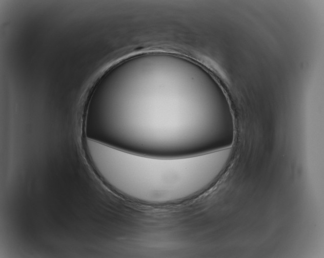 X0000089901504200706281125