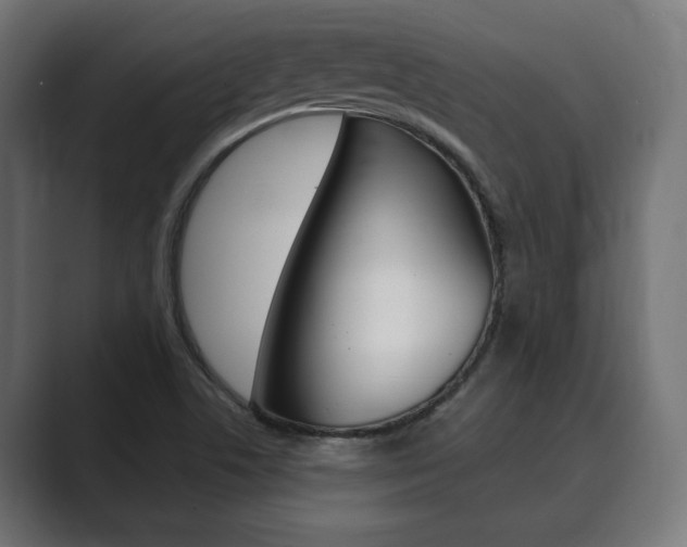 X0000089901506200706281125