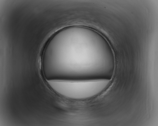 X0000089901509200706281125