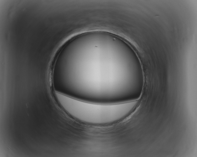 X0000089901510200706281126