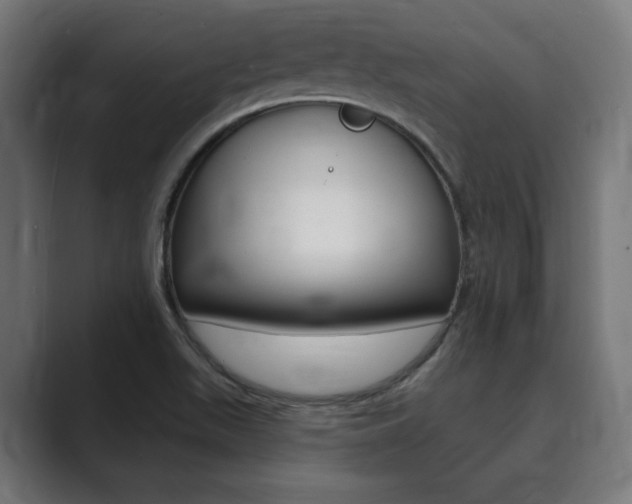 X0000089901511200706281126