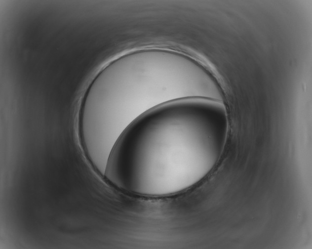 X0000089901512200706281126