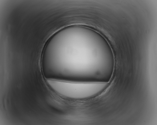 X0000089901513200706281126