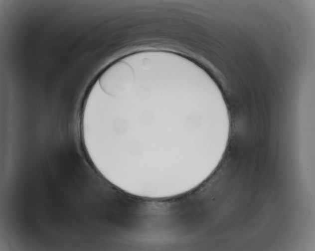 X0000089901514200706281126