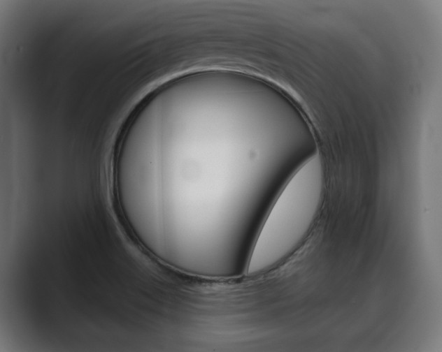 X0000089901515200706281126